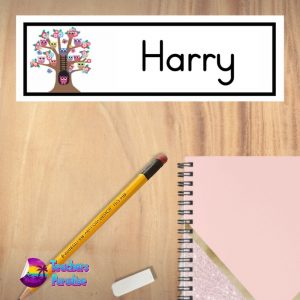 Owls Name Plate - Variety - Image 3