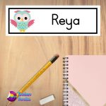 Owl Name Plate Large Design 2