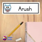 Owl Name Plate Large Design 3