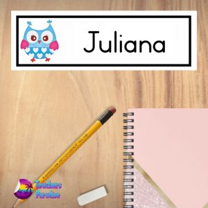 Owls Name Plate - Variety - Image 2